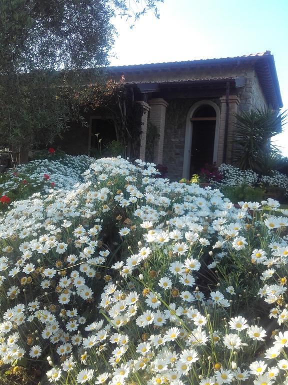 Villa Casa Santina Girasole Exterior foto